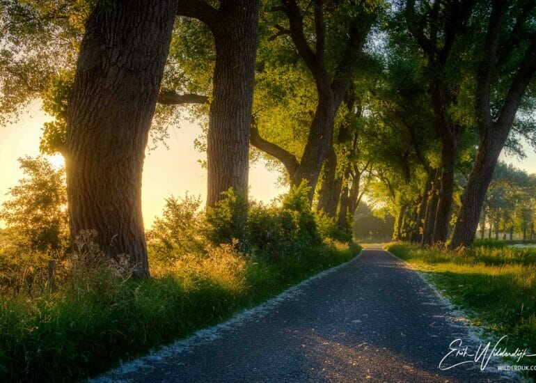 De Noorddiepweg op het Kamper Eiland bij zonsondergang