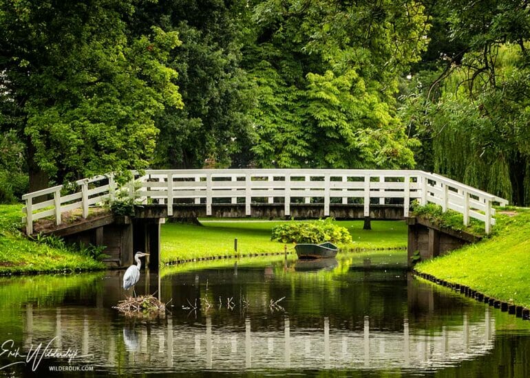 Stadspark Kampen met reiger bij witte brug